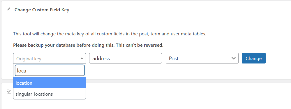 Change custom field key