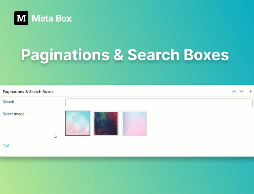adding paginations &amp; search Boxes to custom fields 