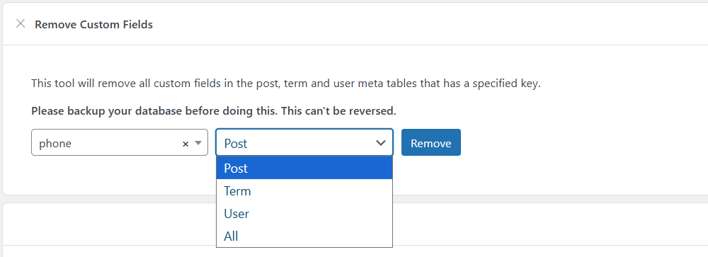 Remove custom fields